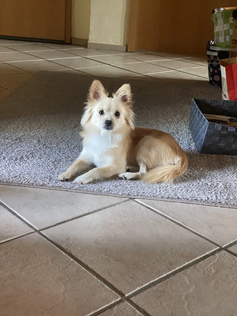 Bild von Teddy