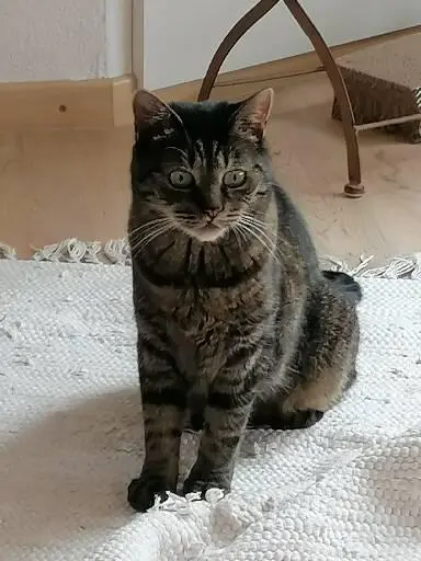 Poisa