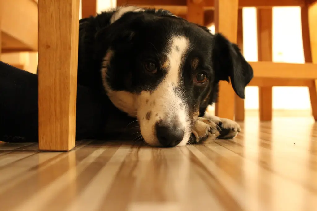 Condolence image of Jana