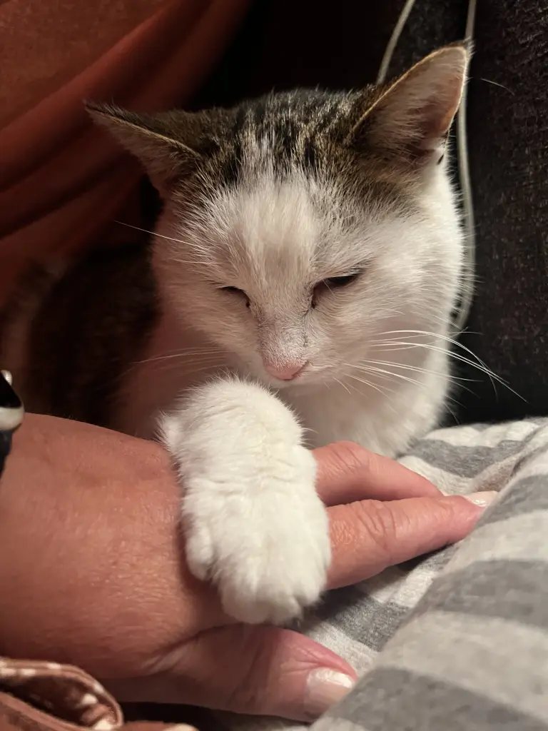 Du fehlst mir! ♥️