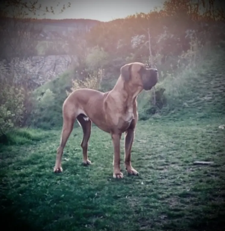 Bild von Mäxchen