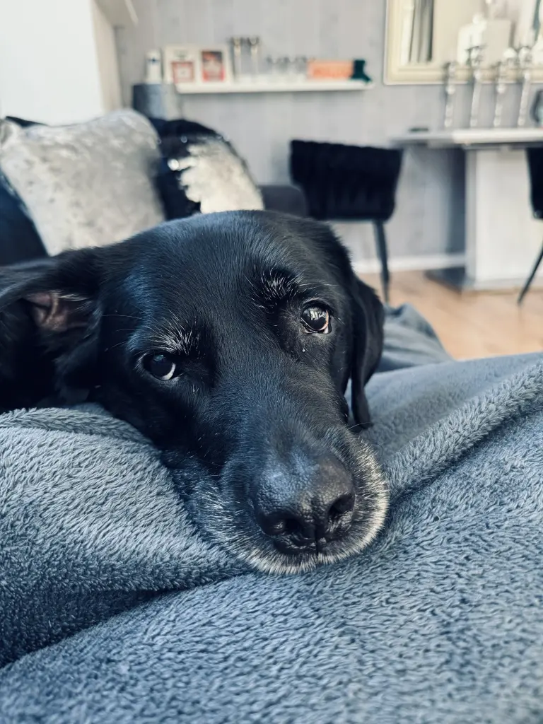 🥰