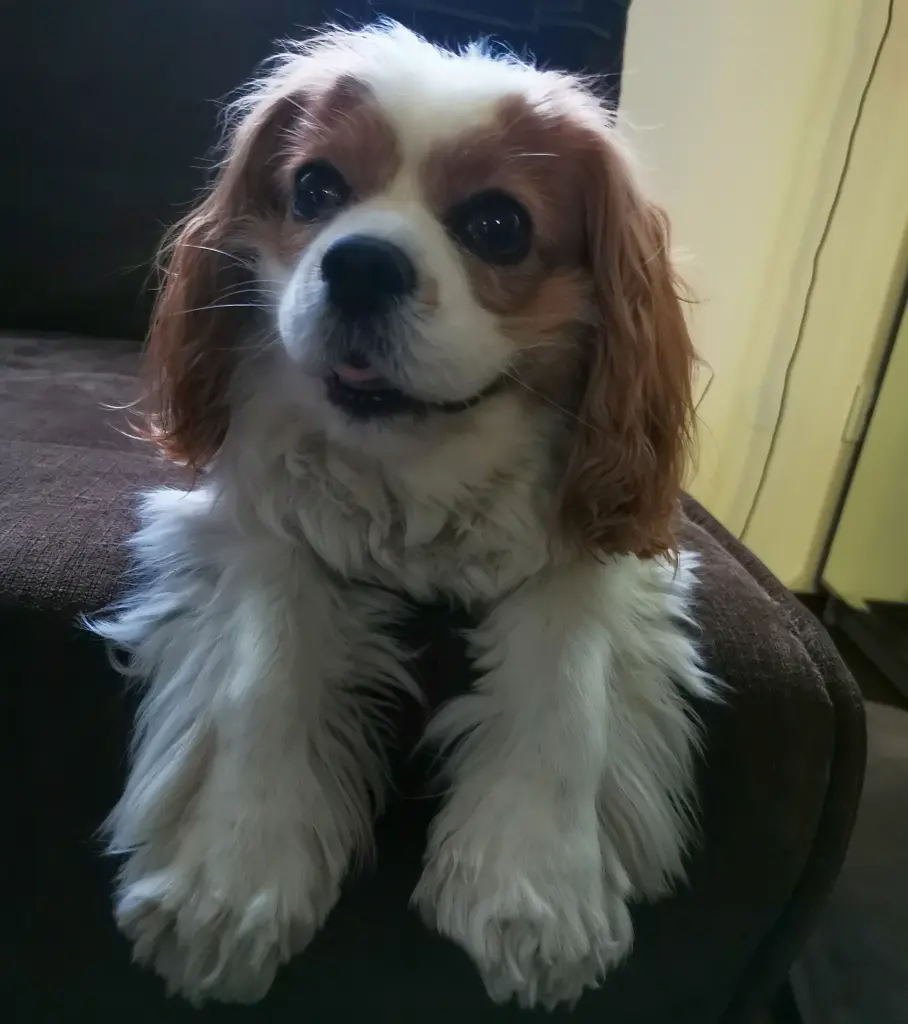 Mein Sofa