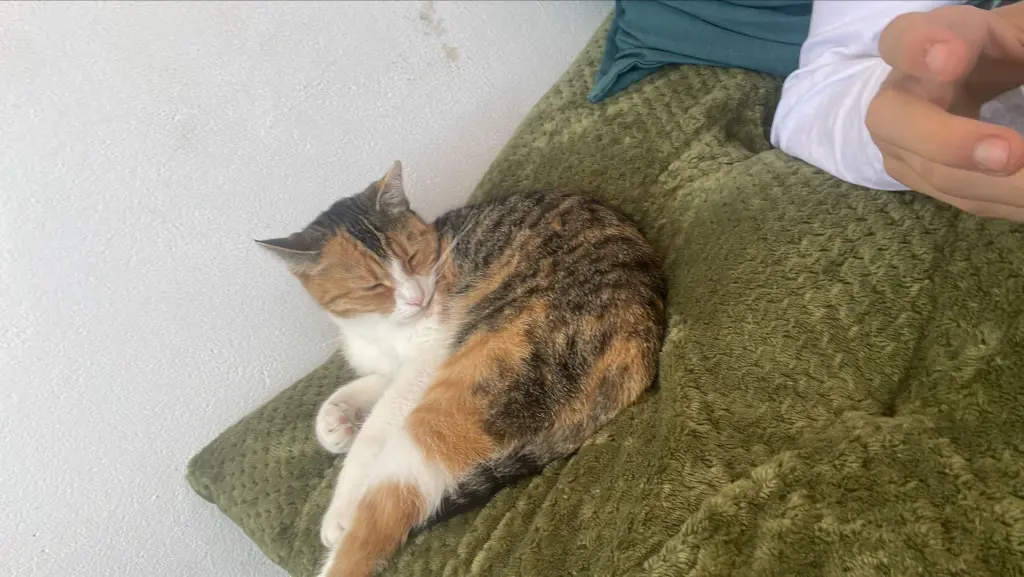 Bild von Bella