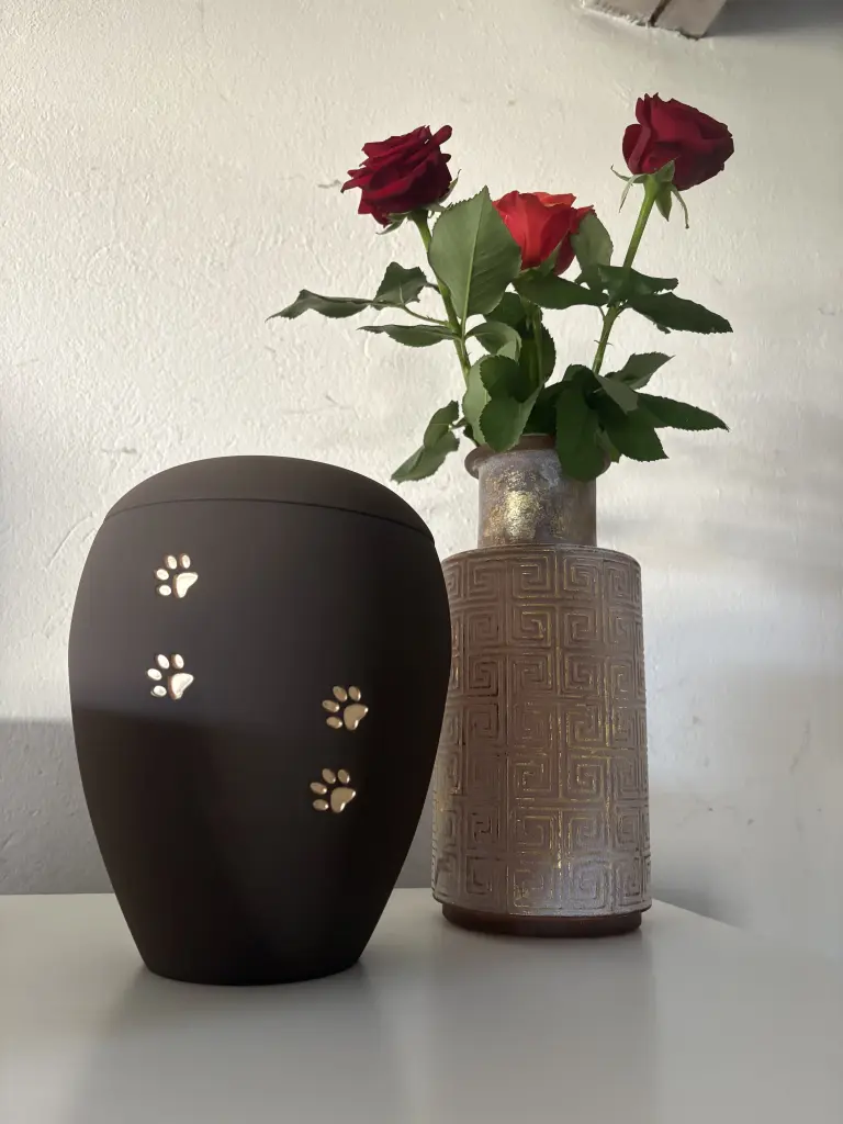 Condolence image of Lia Bischoff