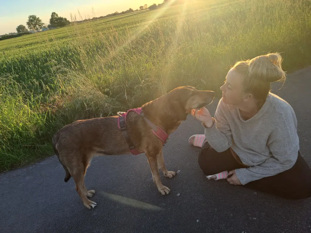 Image from Ronja