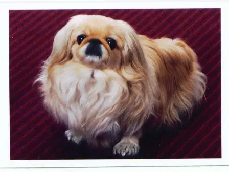 Image from ? meine entzückende süße Sina ?