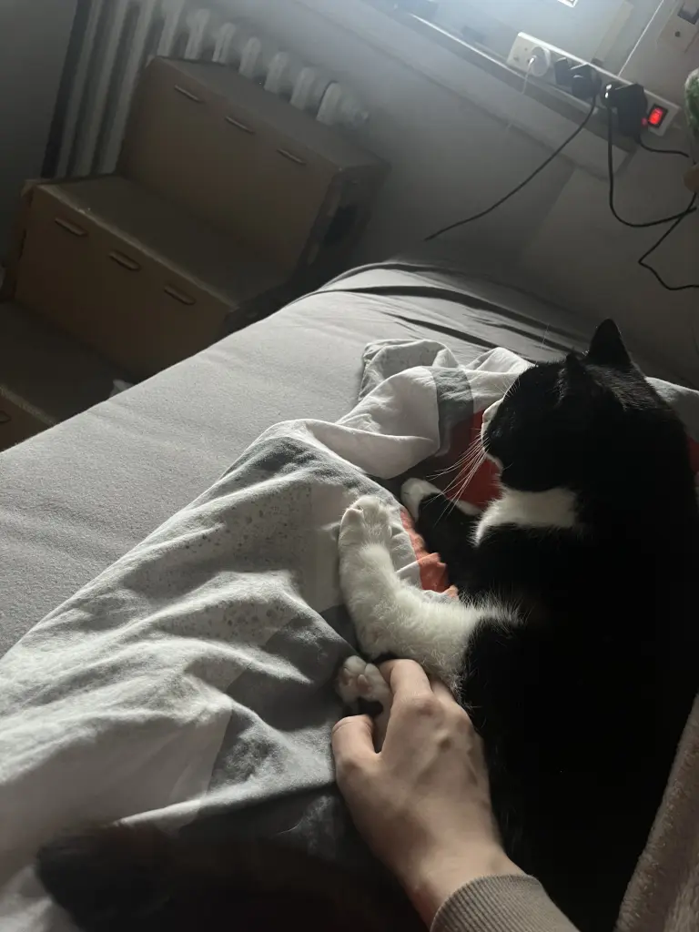 🥰