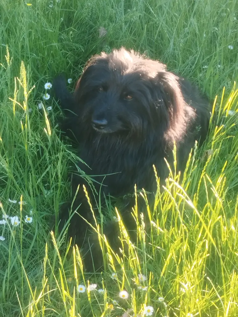 Bild von Eddie