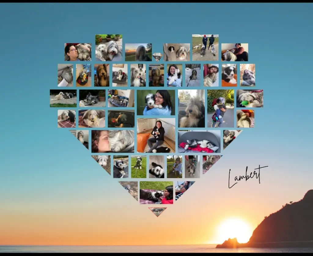 Image from Lambert