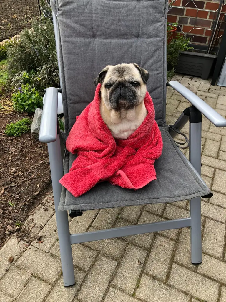 Bild von Molly
