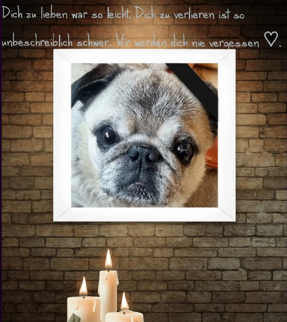 Condolence image of Anja