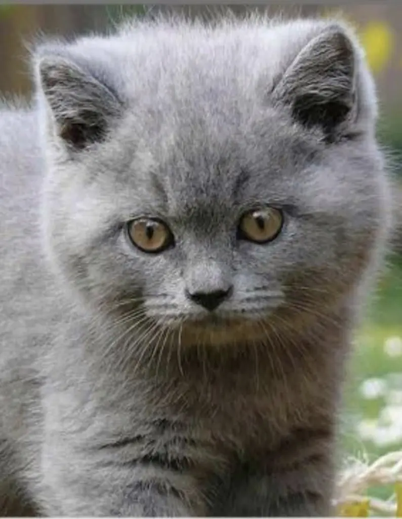 Mai 2010