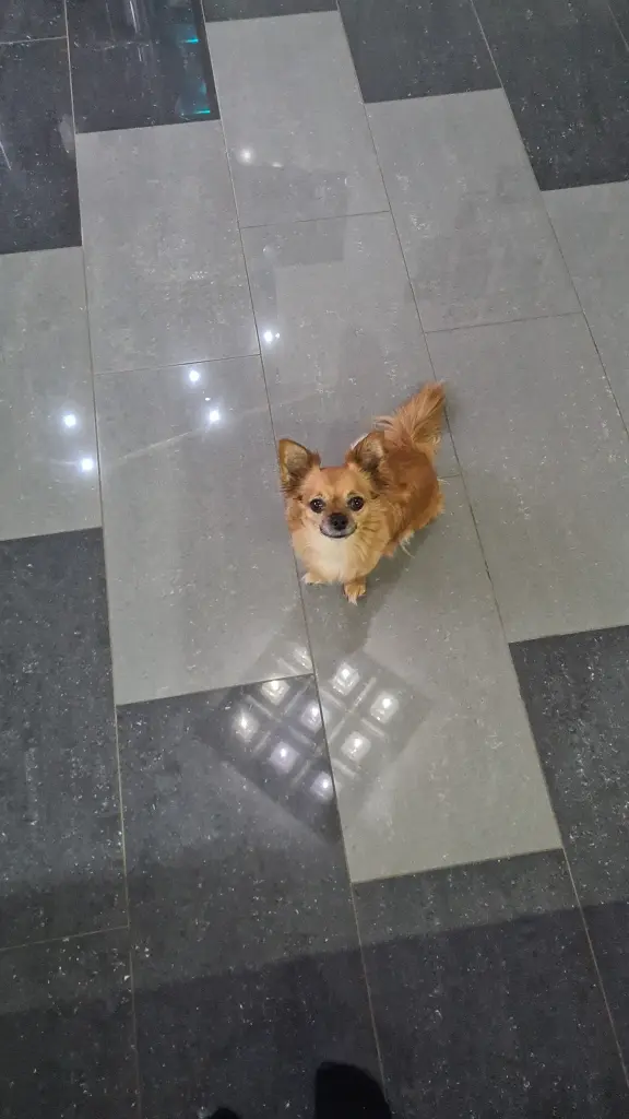 Image from Tinkerbell
