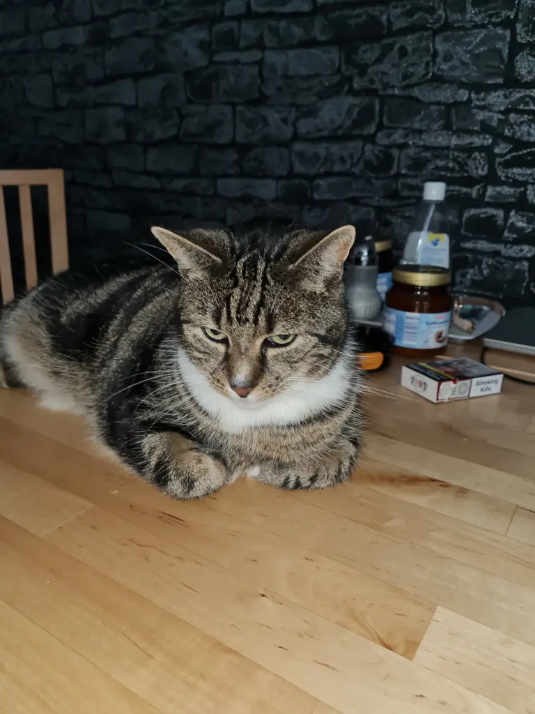 Image from Pünktchen