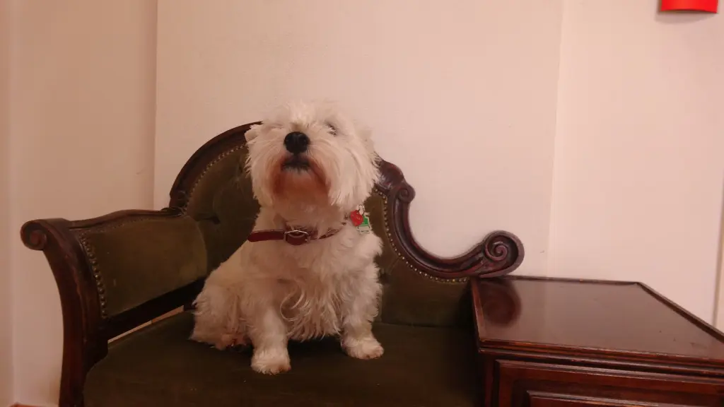 Condolence image of Merry