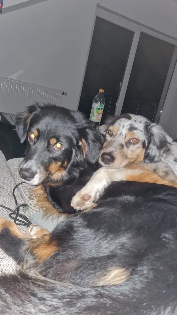 Condolence image of Dana