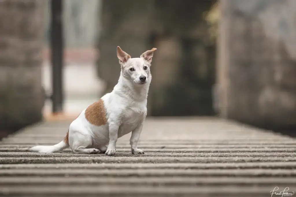 Condolence image of Sandra Strzalka