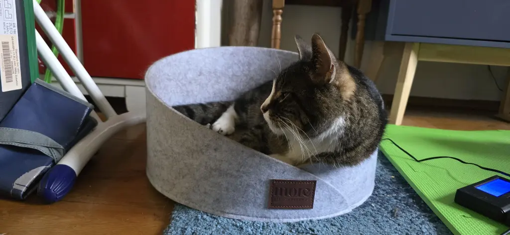 Bild von Flummi