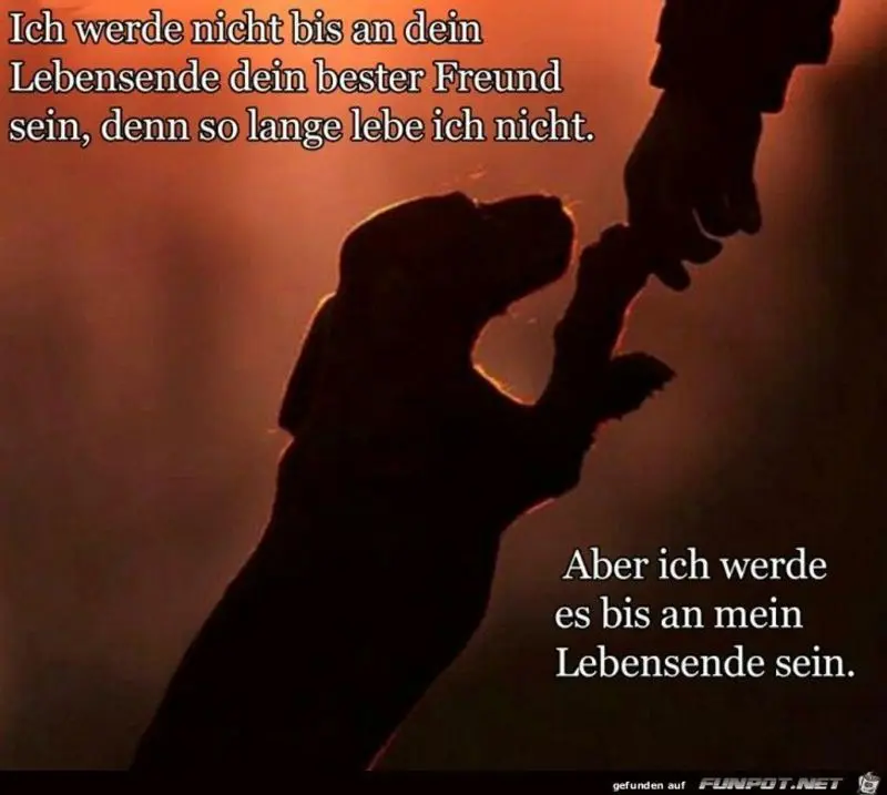 Condolence image of Andrea mit Minki im ❤ gest.19.10.2020