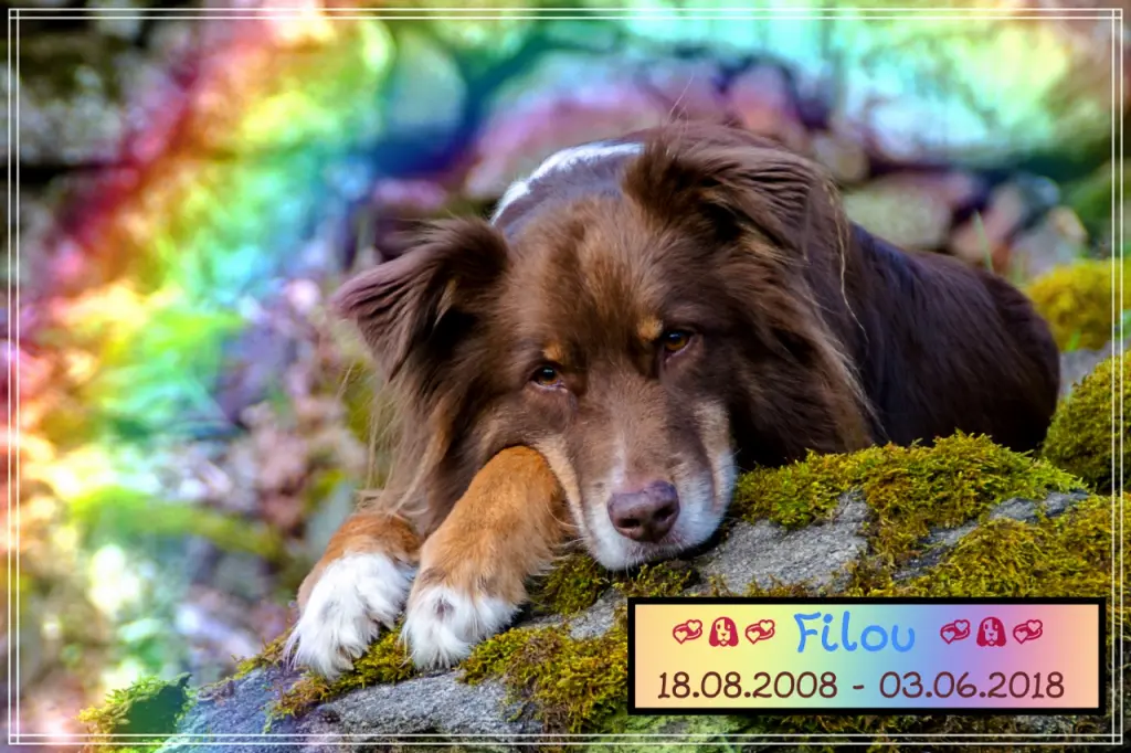 Image from Filou