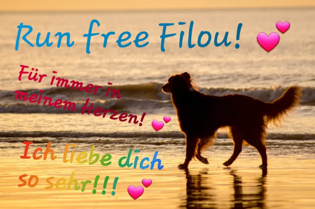 Image from Filou