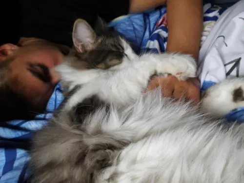 Image from Tigger