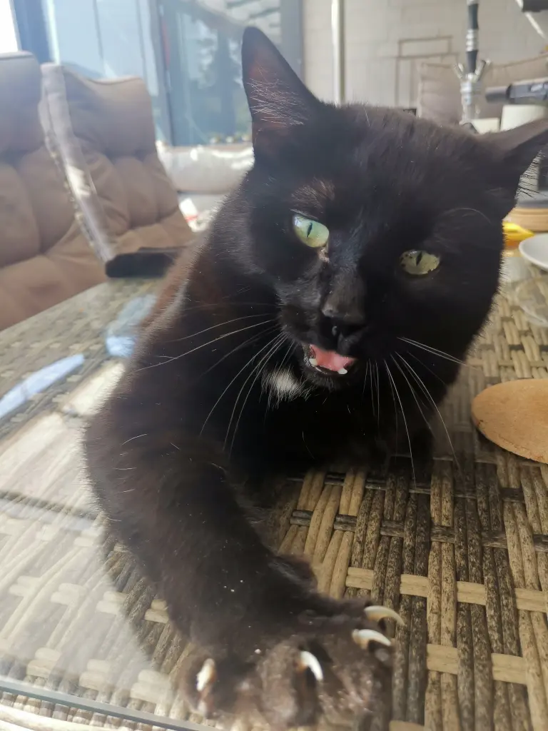 Image from Gremlin