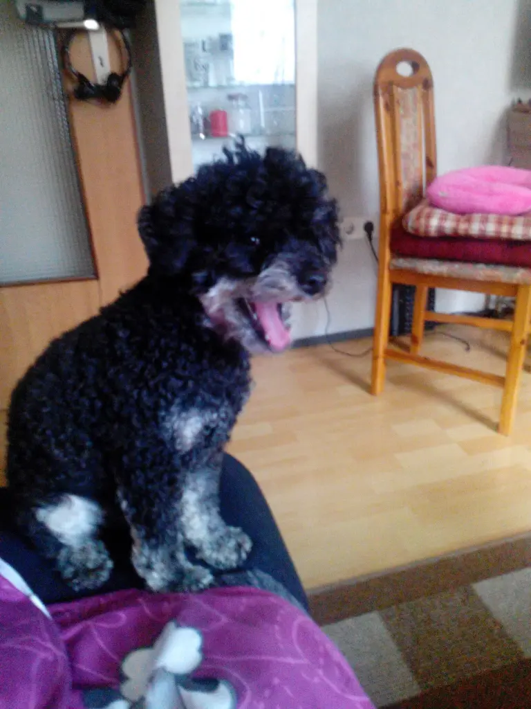 Bild von Lucky