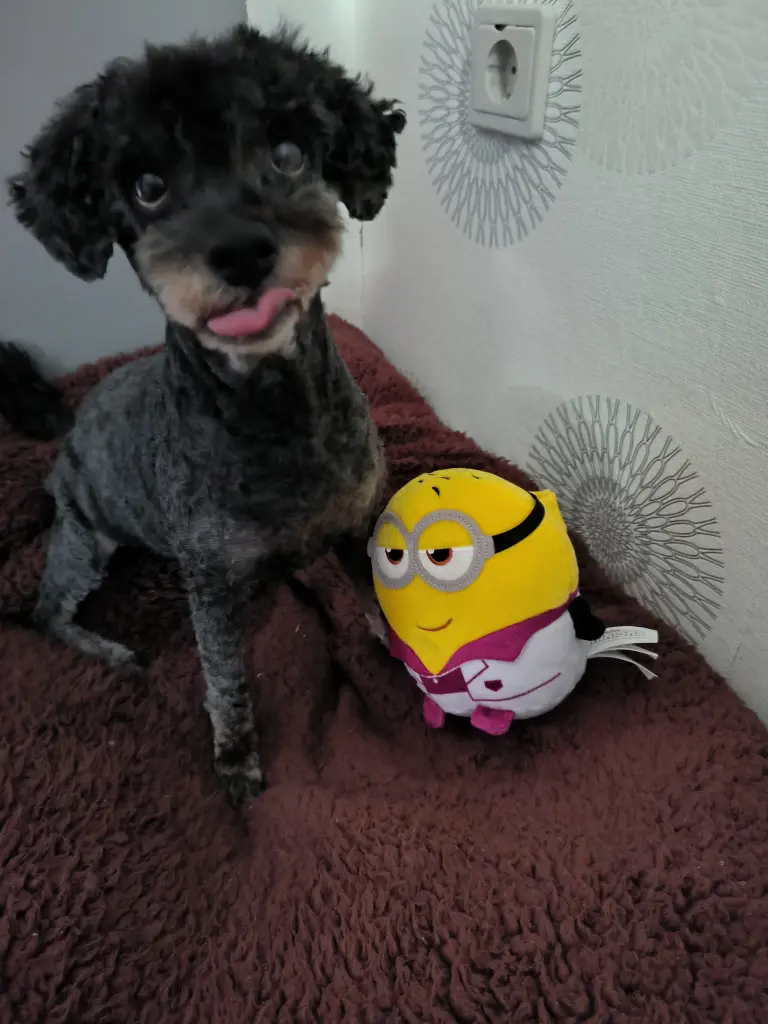 Bild von Lucky