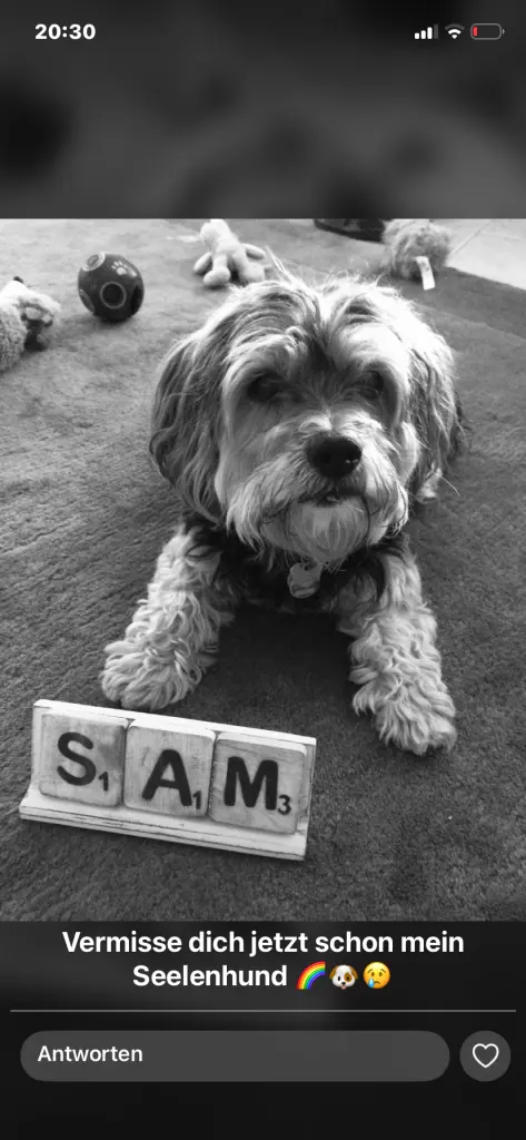 Bild von Sam