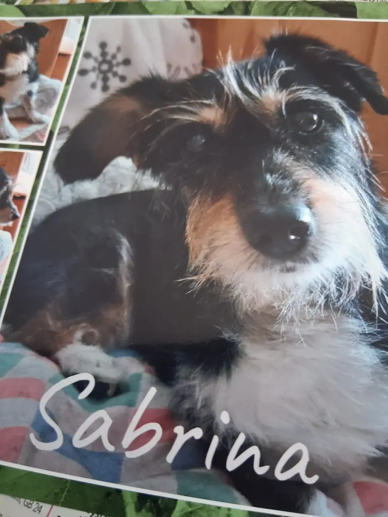 Image from SABRINA