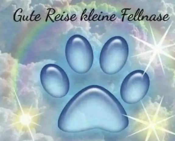 Condolence image of Christine Gronbach
