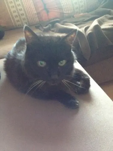 Image from Minnie