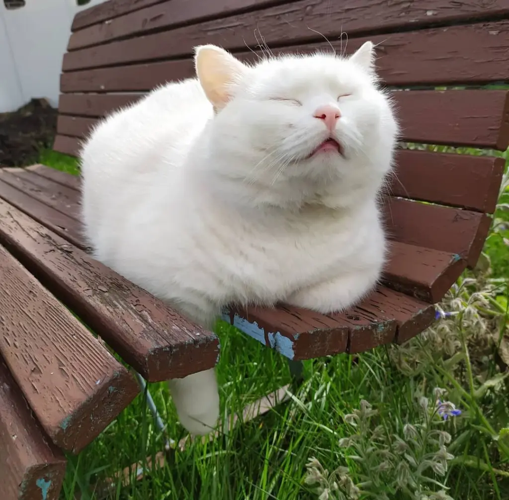 Bild von Tugger