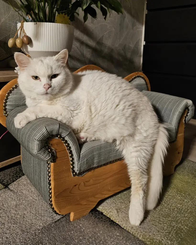Bild von Tugger