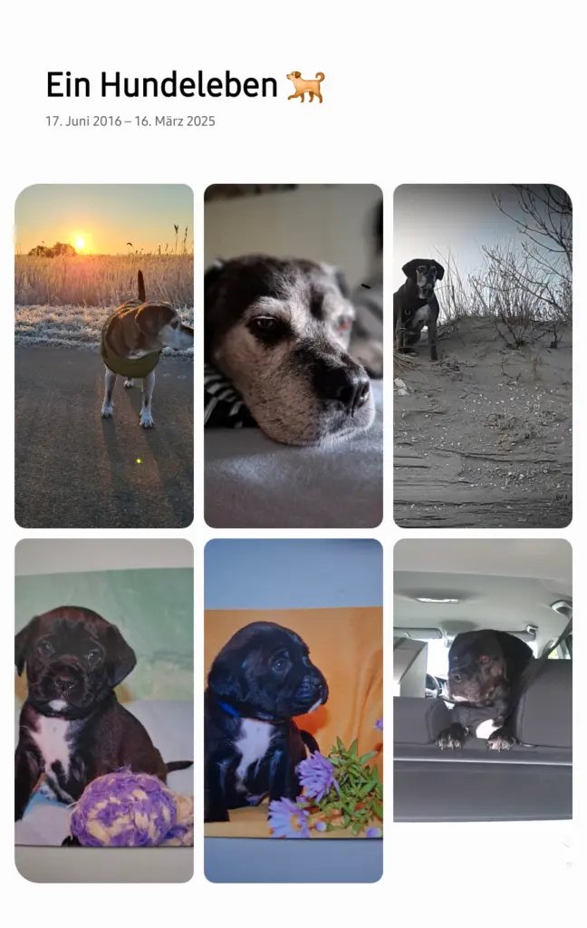 Image from Sam