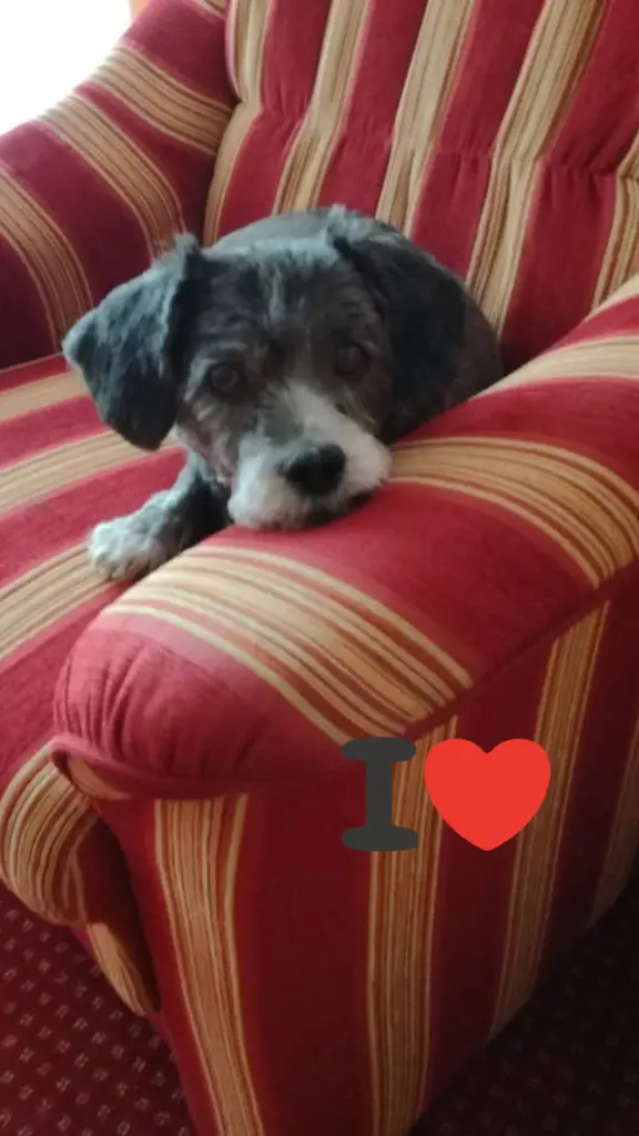 Bella ❤️