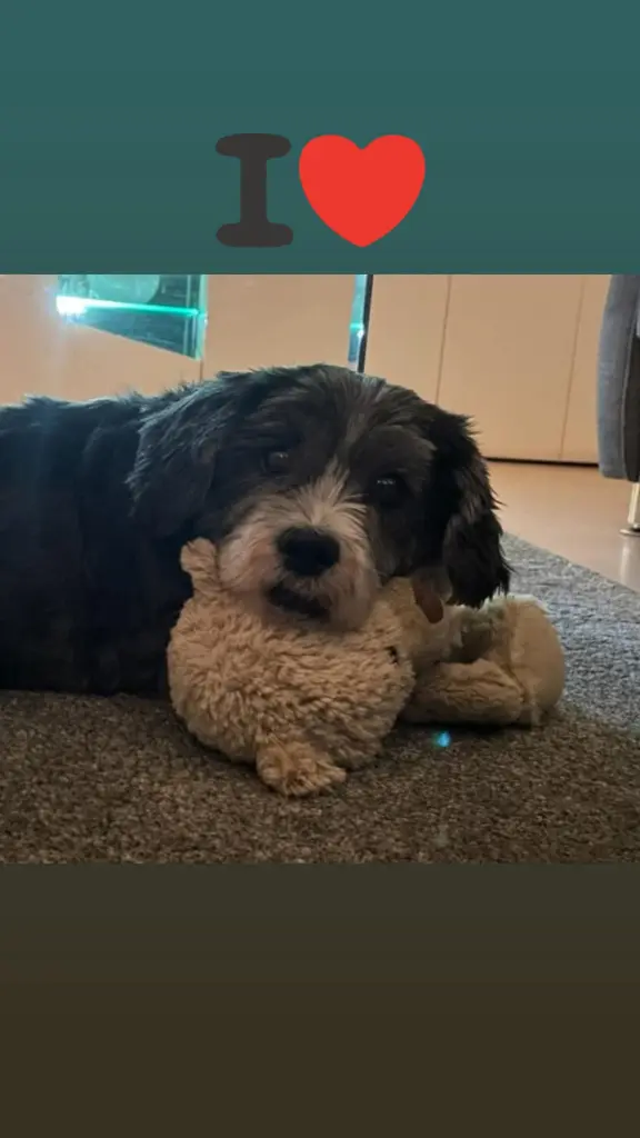 Bella ❤️