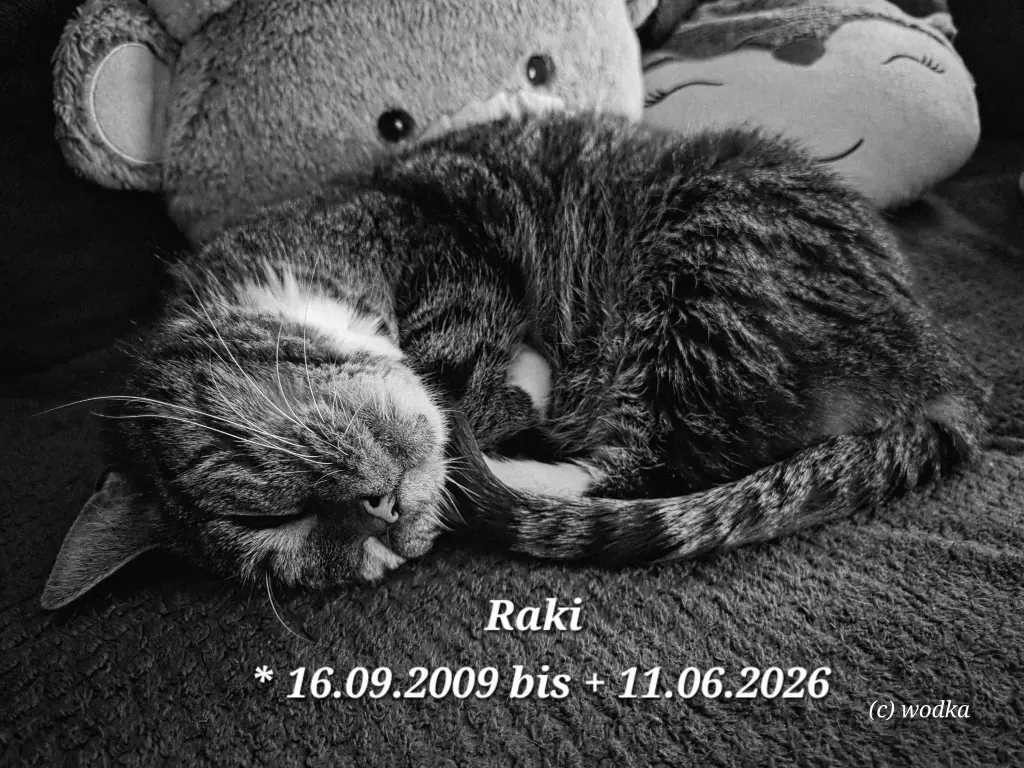 Image from Raki