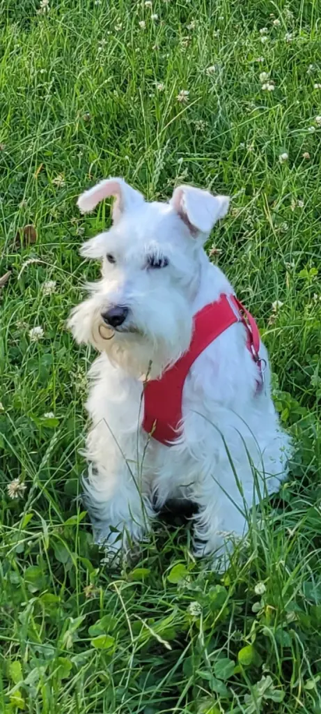 Bild von Lori