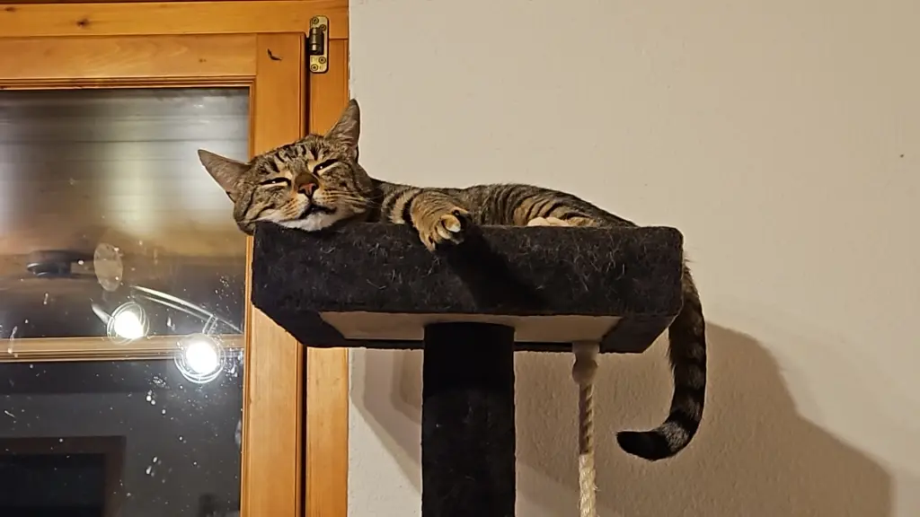 Relaxing..