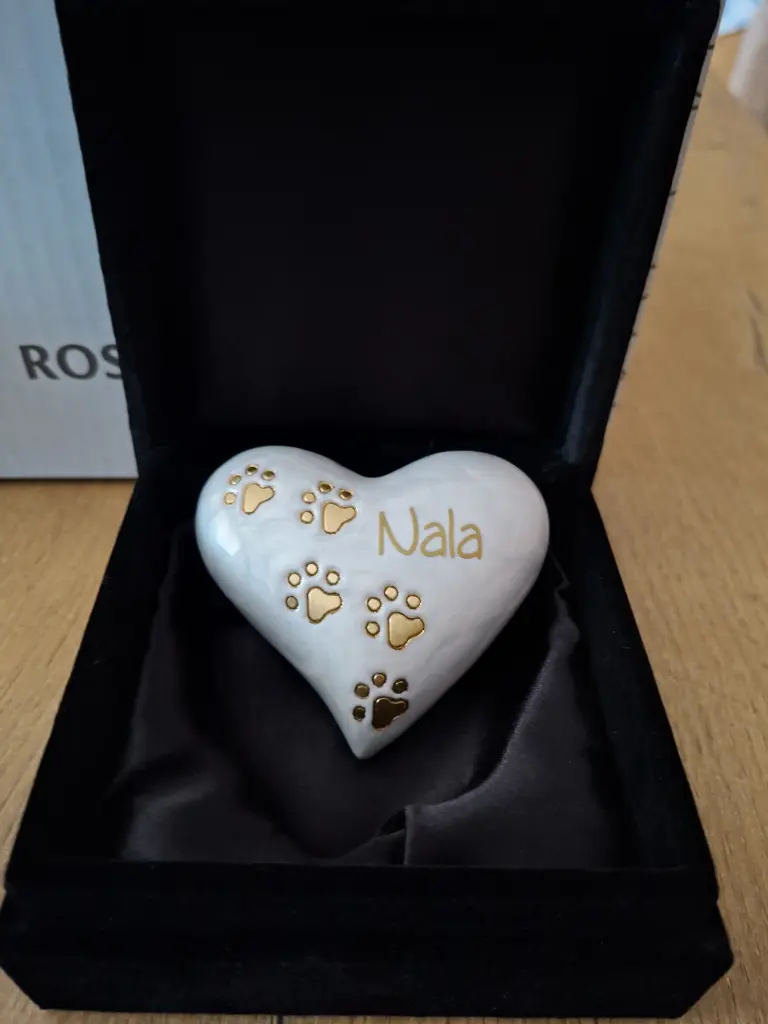 Image from Nala