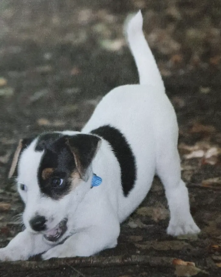 Bild von Micky