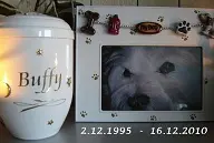 Image from Buffy