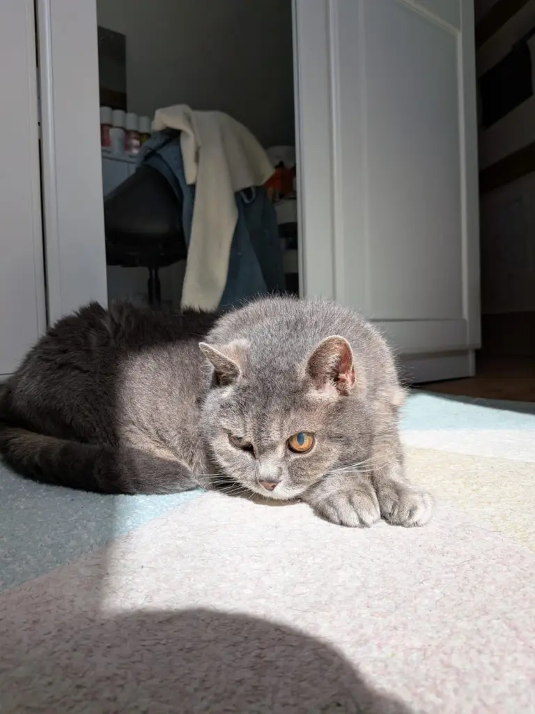 Er liebte die Sonne.