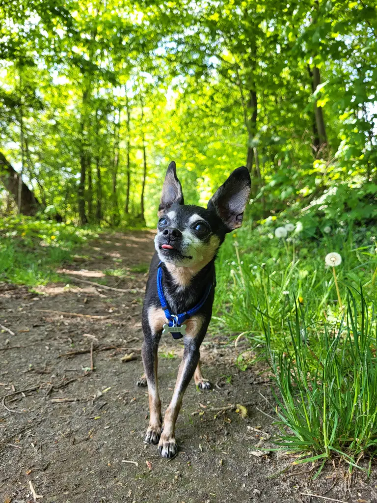 Bild von Milow