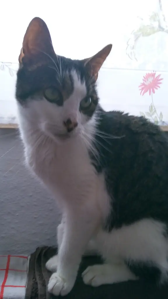Image from Sanne