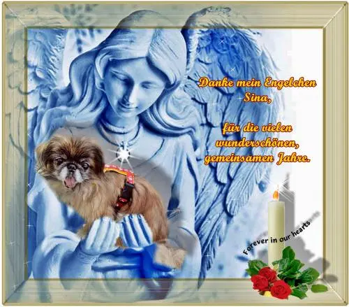 Image from dich meine Sina