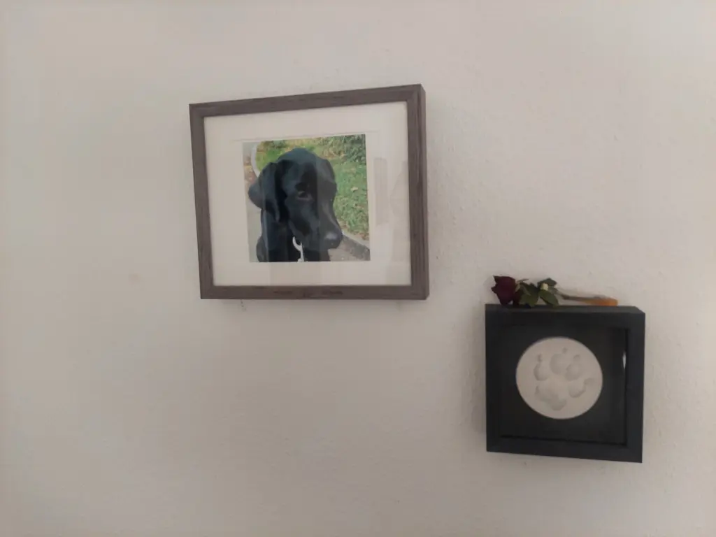 Condolence image of Roberto Puma